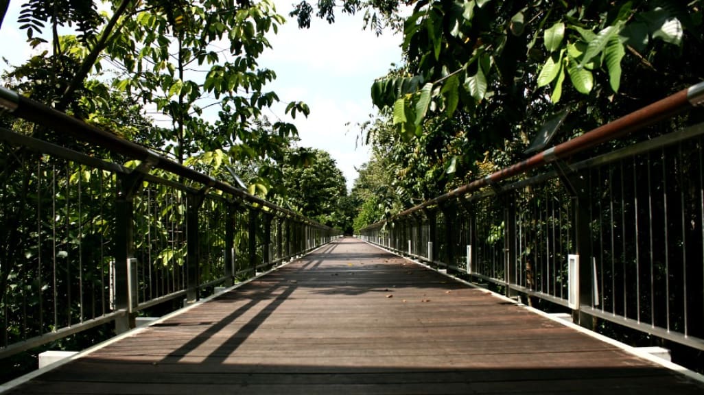 Nature's Classroom: Taman Botani Putrajaya