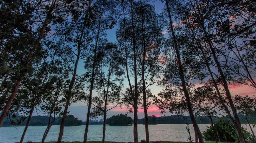 Oasis of Serenity: Putrajaya Wetlands Park