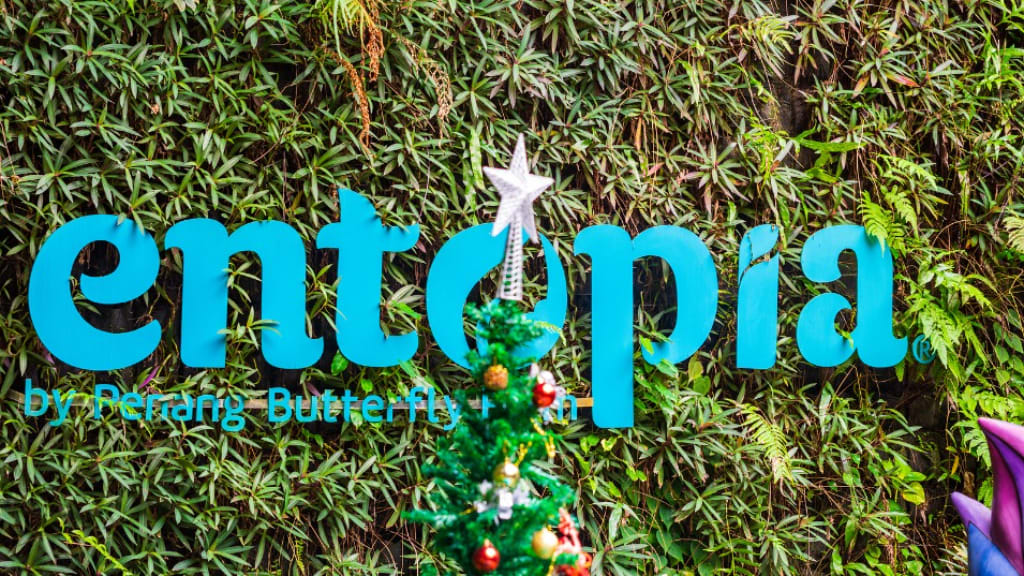 The Magical World of Entopia by Penang Butterfly Farm