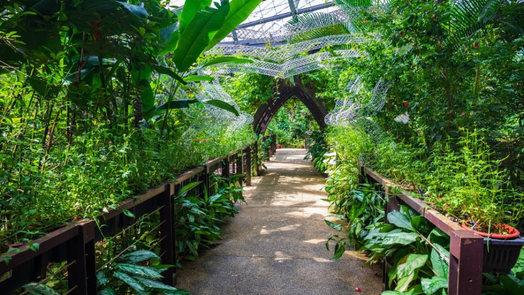 The Magical World of Entopia by Penang Butterfly Farm