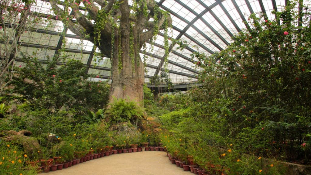 The Magical World of Entopia by Penang Butterfly Farm