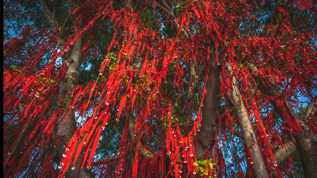 Sekinchan Wishing Tree: A Symbol of Hope and Beauty
