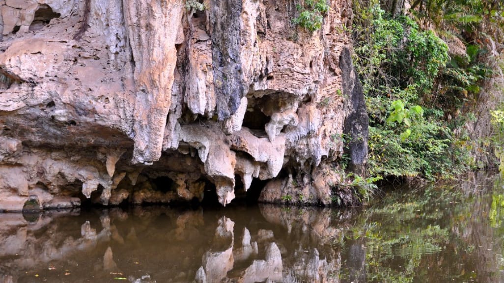 Kek Look Tong: Nature's Splendor Meets Spiritual Peace