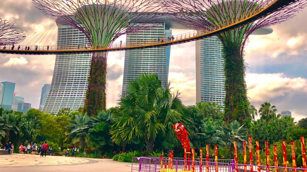 Gardens by the Bay: A Futuristic Eden