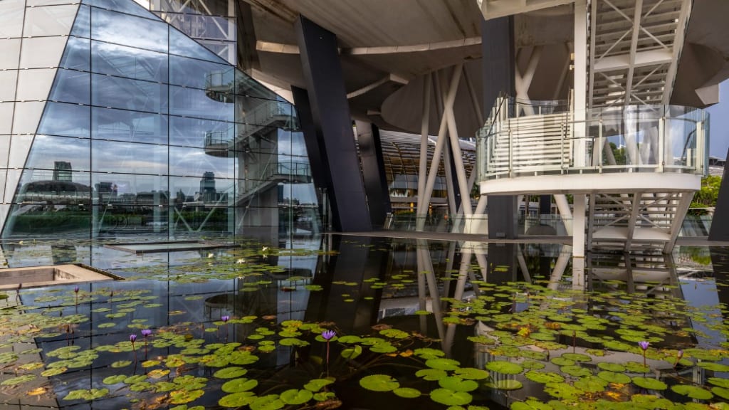ArtScience Museum: Where Art Meets Science