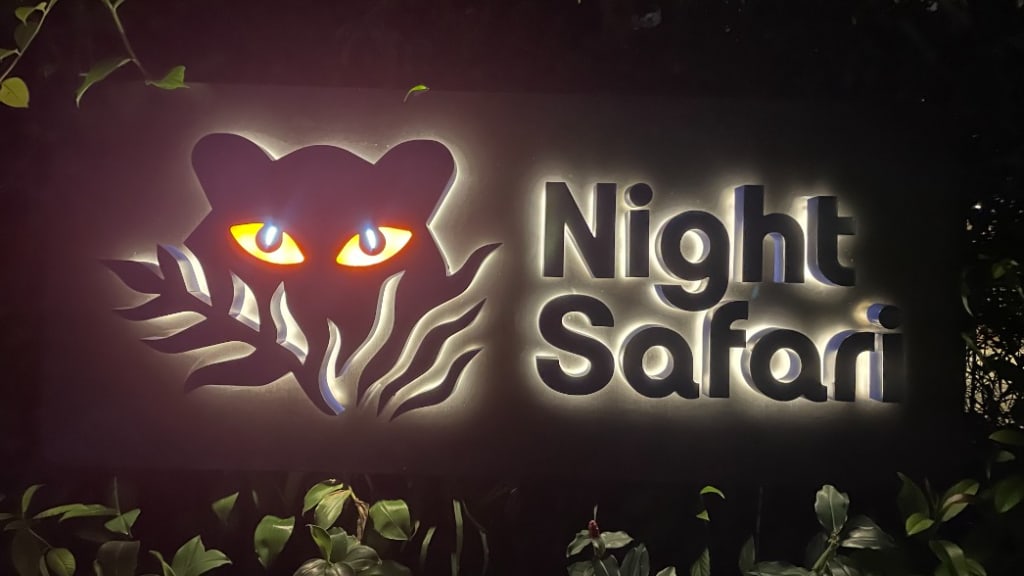 Night Safari: A Journey into the Nighttime Wilderness