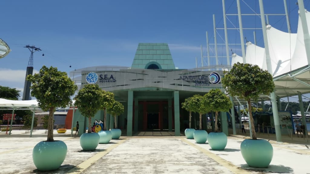 S.E.A. Aquarium: Dive into the Depths of the Ocean