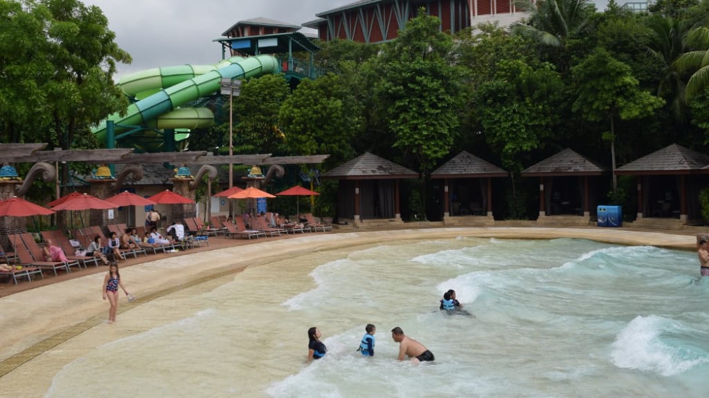 Adventure Cove Waterpark: Aquatic Excitement for Everyone