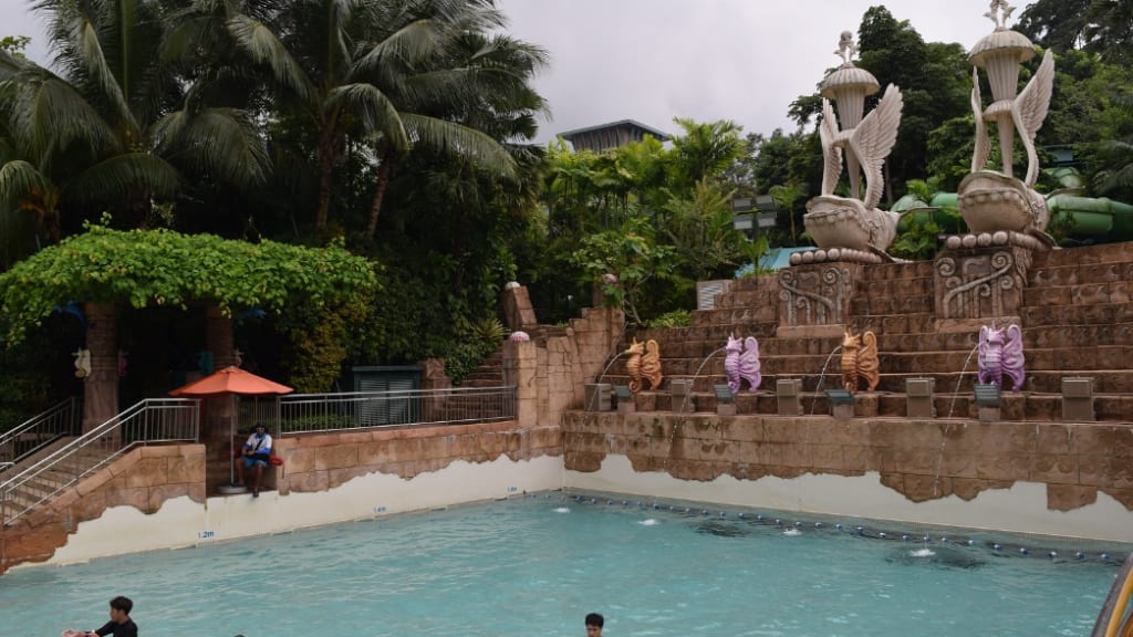 Adventure Cove Waterpark: Aquatic Excitement for Everyone