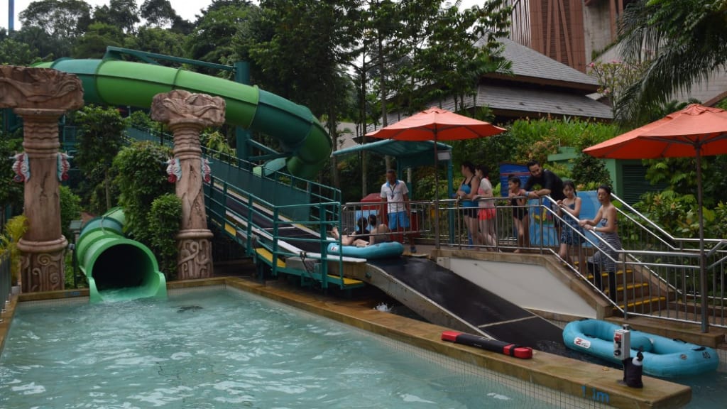 Adventure Cove Waterpark: Aquatic Excitement for Everyone