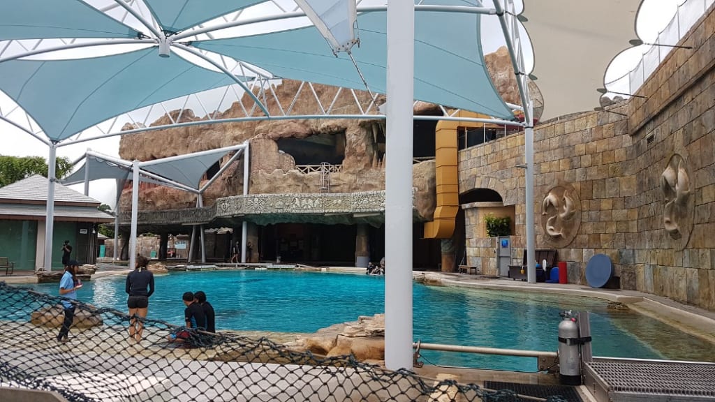 Adventure Cove Waterpark: Aquatic Excitement for Everyone
