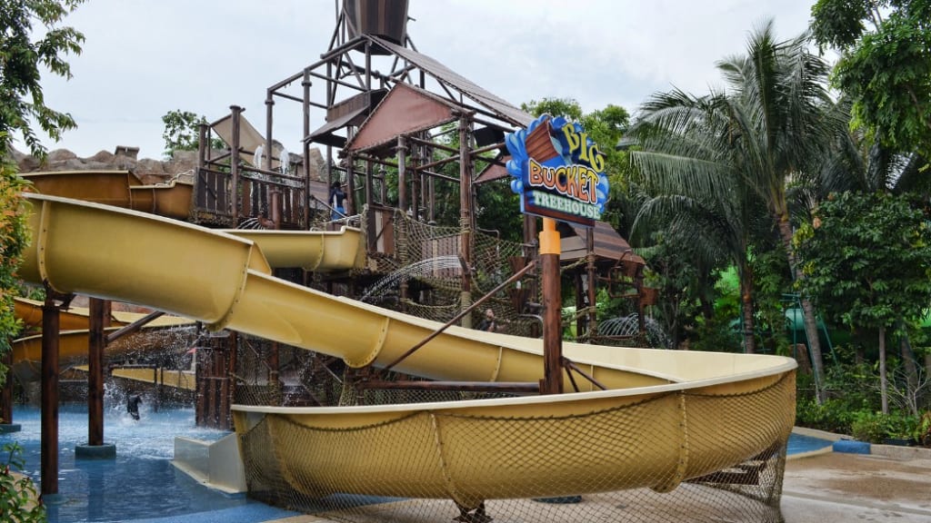 Adventure Cove Waterpark: Aquatic Excitement for Everyone