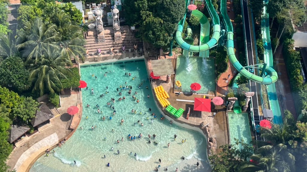 Adventure Cove Waterpark: Aquatic Excitement for Everyone