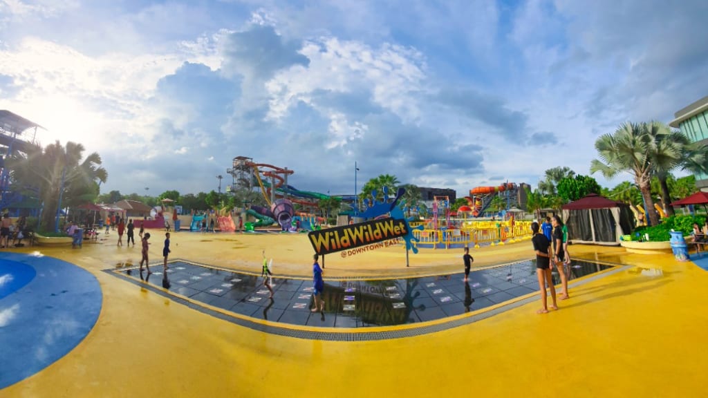 Wild Wild Wet: Singapore's Premier Water Park