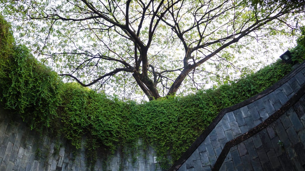 Fort Canning Park: A Historical Oasis in the City