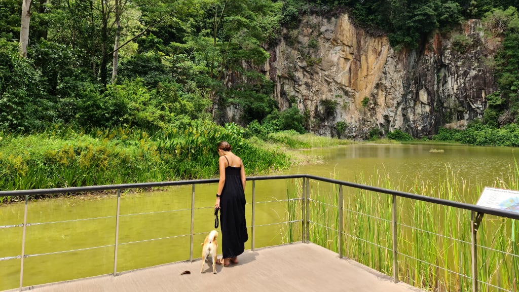 Bukit Timah Nature Reserve: A Tropical Rainforest Adventure