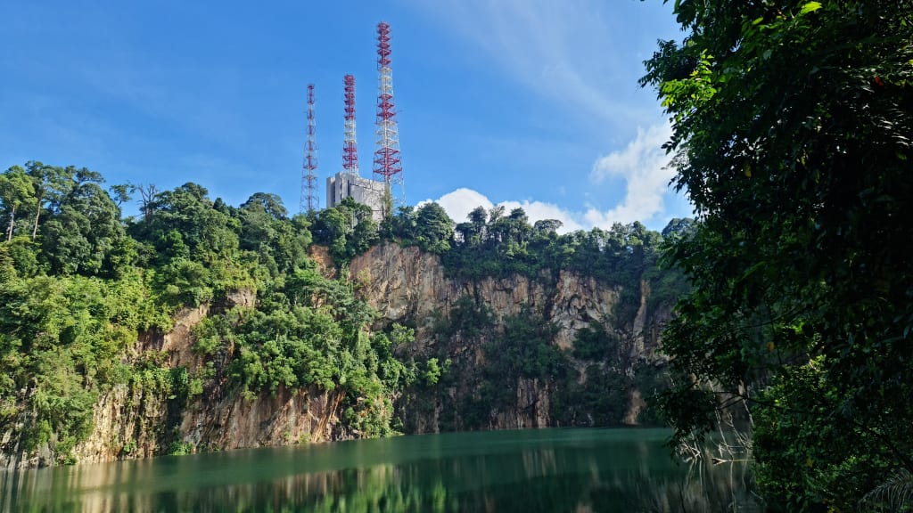Bukit Timah Nature Reserve: A Tropical Rainforest Adventure