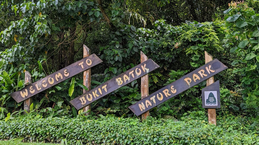 Bukit Batok Nature Park: A Tranquil Respite with War History
