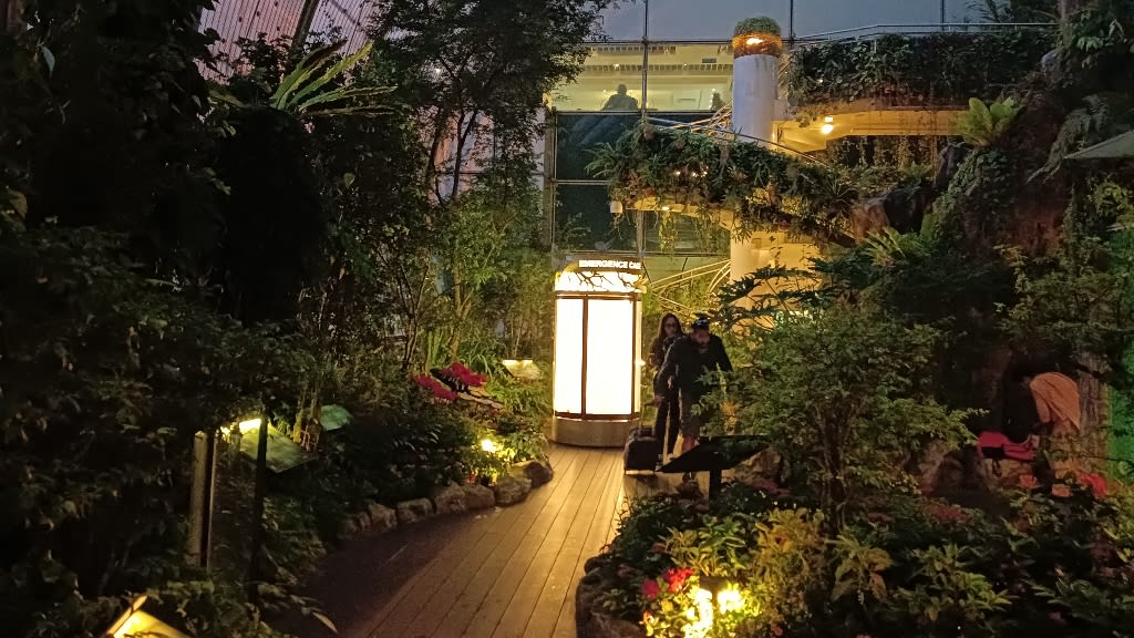 Butterfly Garden: A Tropical Haven
