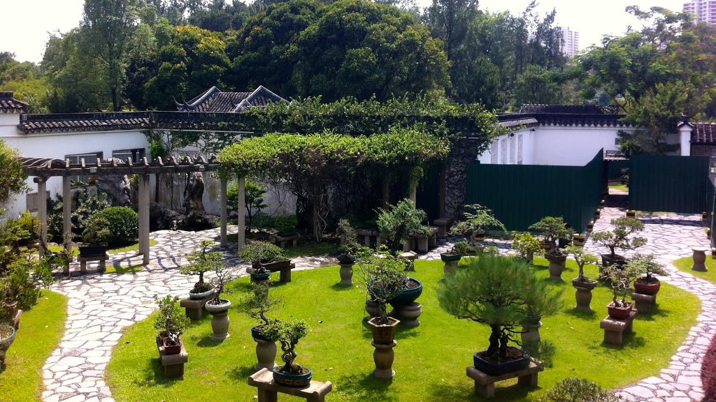 Chinese Garden: An Oasis of Harmony
