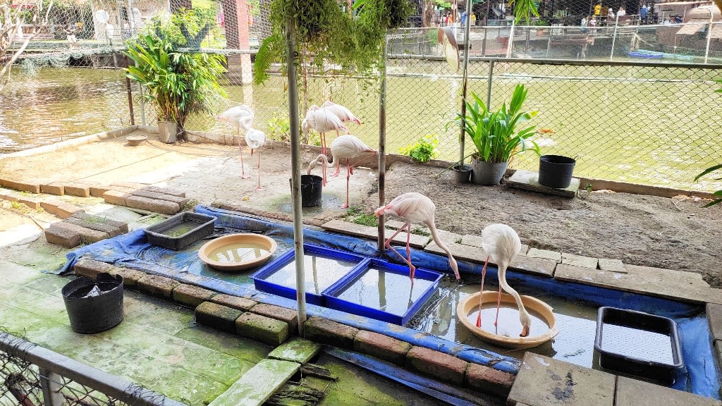 Kwan-Riam Floating Market: The Melting Pot of Tradition and Community Spirit
