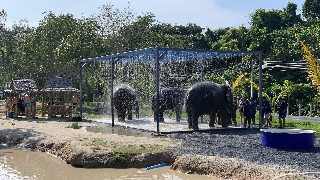 Green Elephant Sanctuary Park: A Heartwarming Journey into Conservation