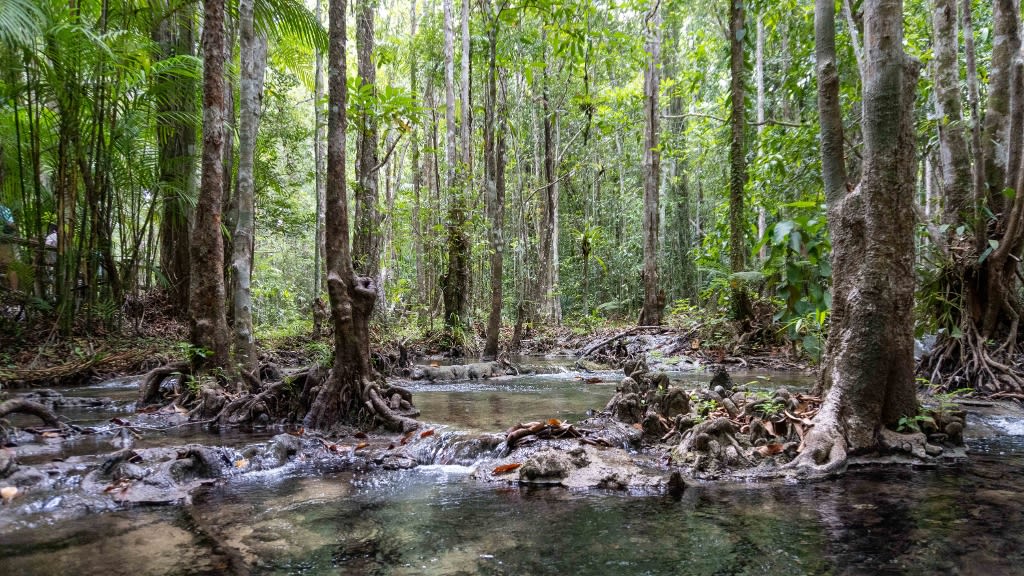 Dive into the Crystal Waters of the Emerald Pool