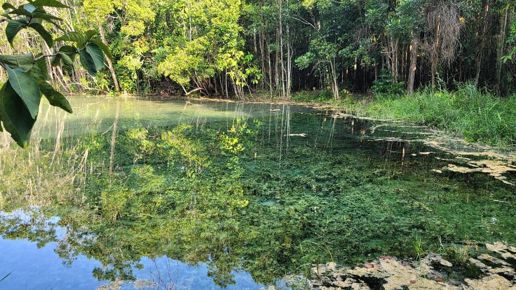 Dive into the Crystal Waters of the Emerald Pool