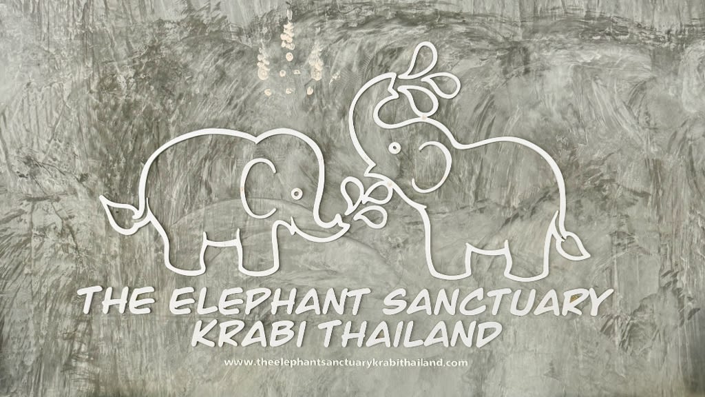 Connect with Nature at The Elephant Sanctuary Krabi