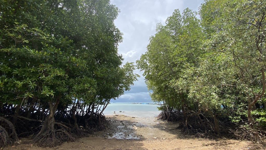 Railay Beach: A Climber's Paradise with Stunning Coastlines
