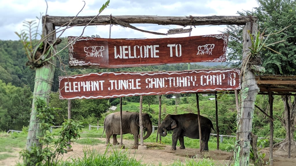 Elephant Jungle Sanctuary: An Ethical Encounter with Thailand’s Gentle Giants