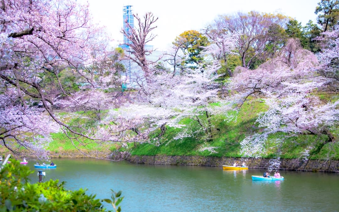 Shinjuku Gyoen National Garden
