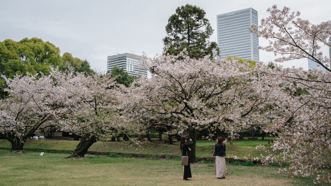 Shinjuku Gyoen National Garden