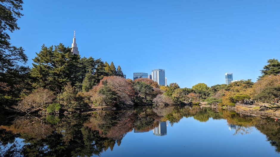Shinjuku Gyoen National Garden