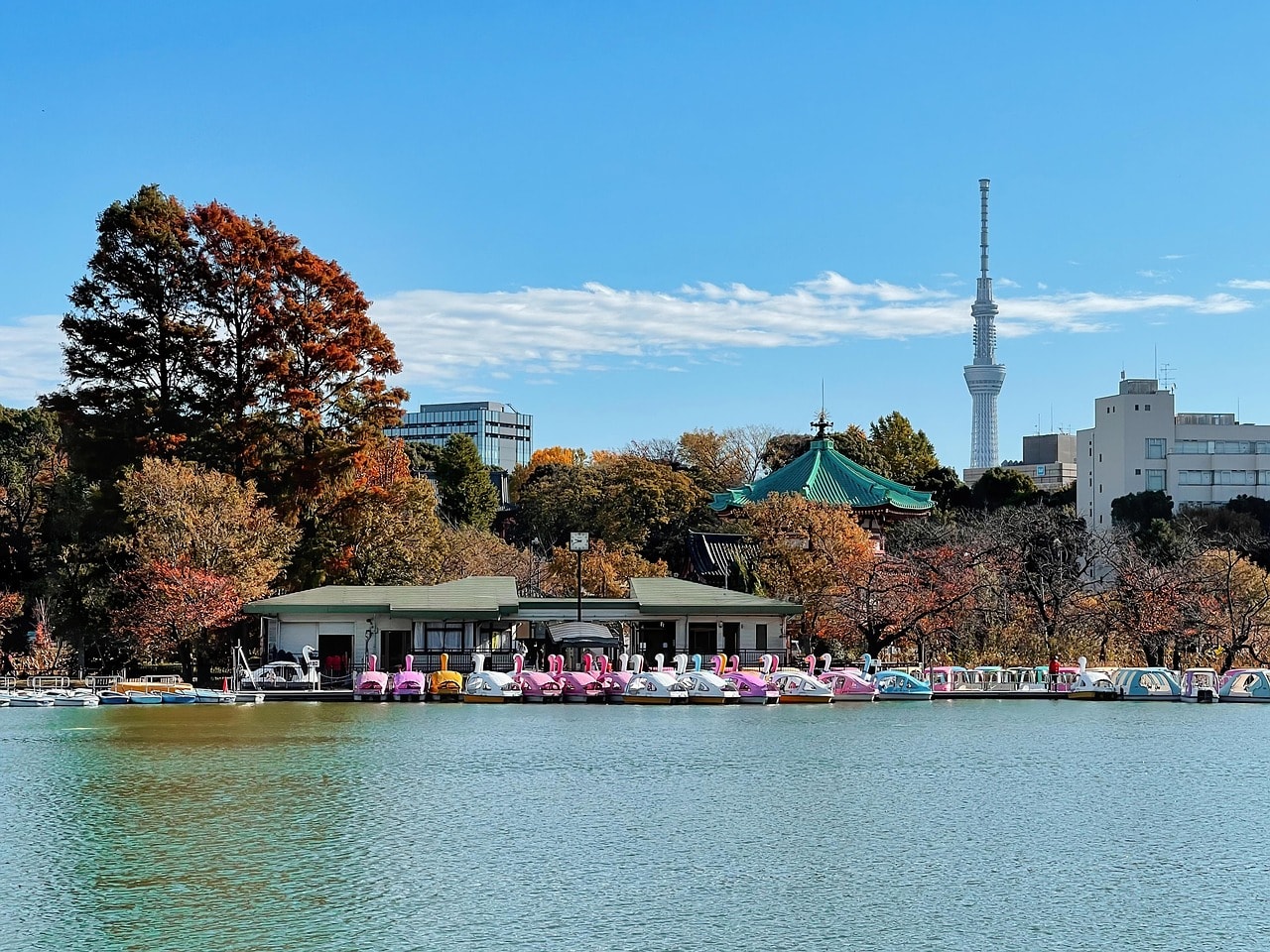 Explore Ueno Park for museums, temples, and seasonal walks