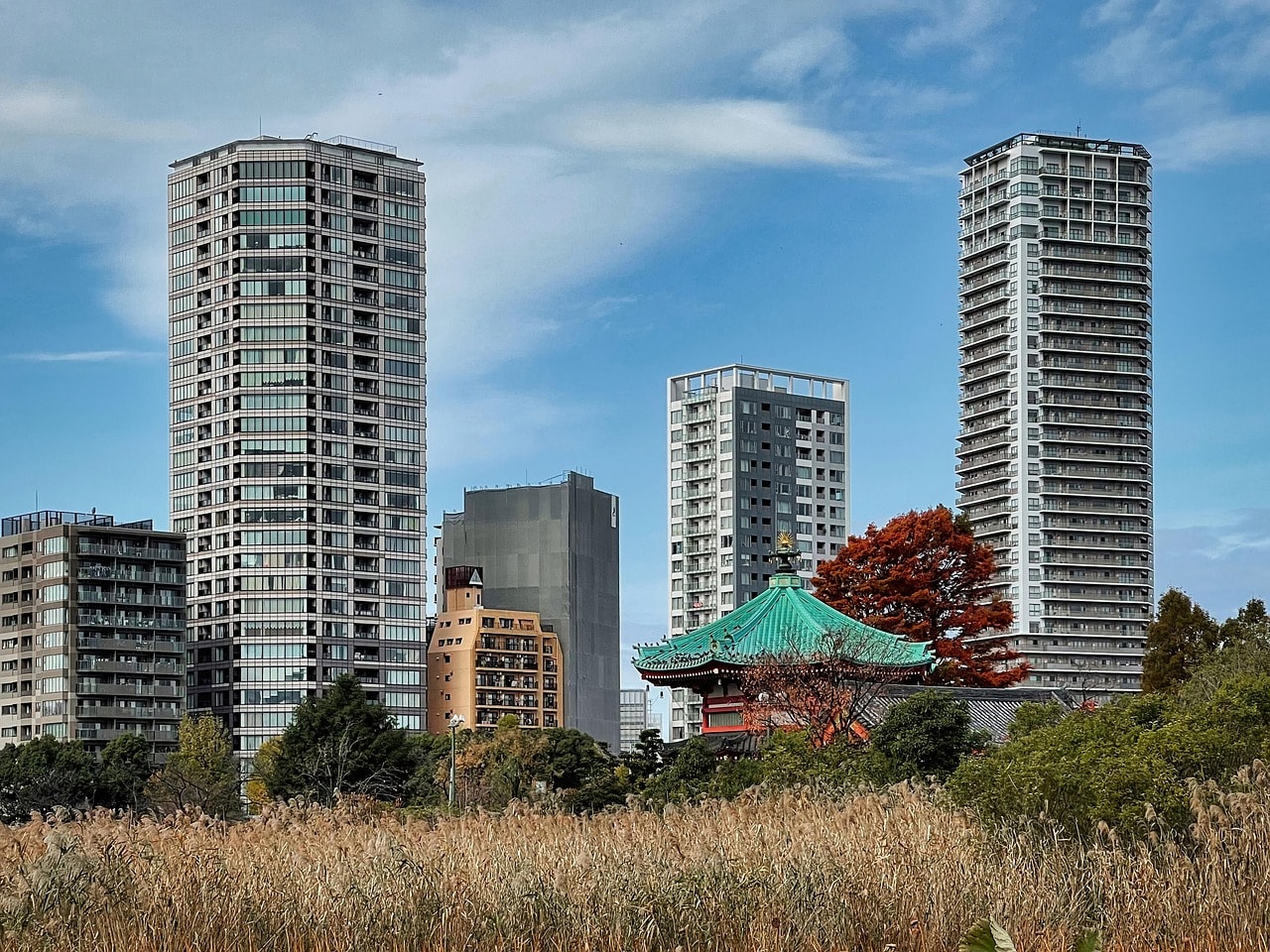 Explore Ueno Park for museums, temples, and seasonal walks