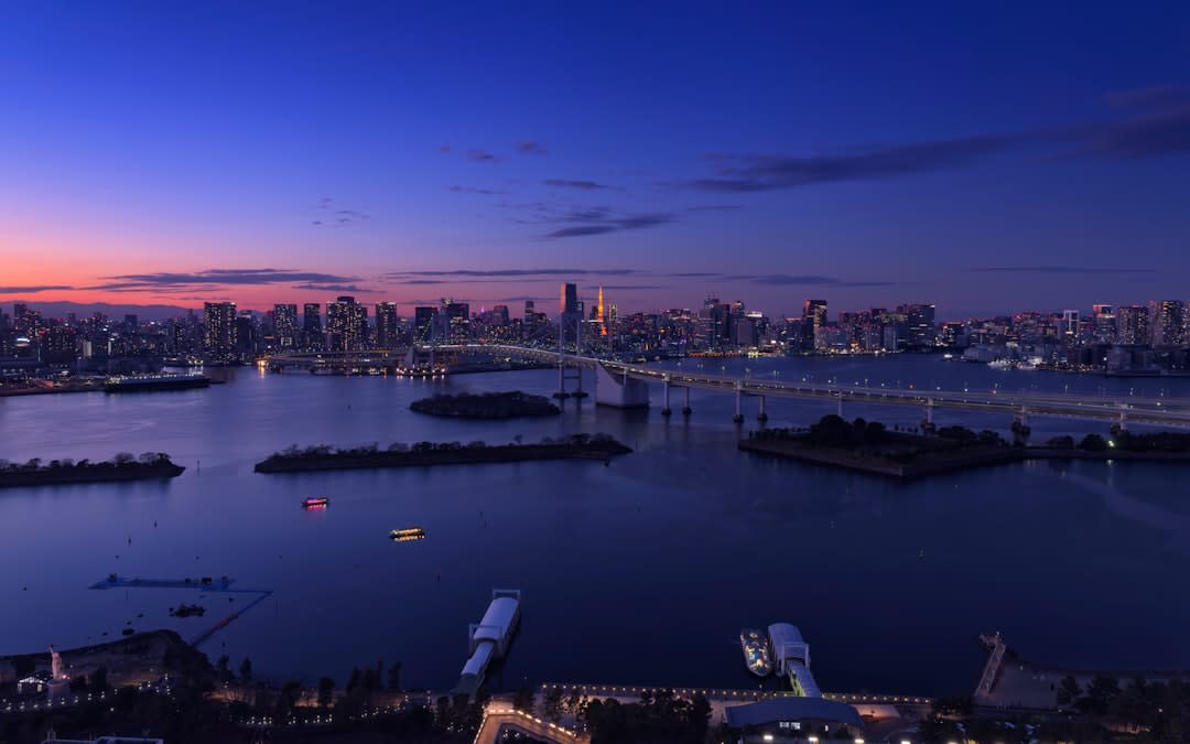 See Tokyo's waterfront side in Odaiba
