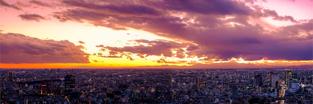 See Tokyo's waterfront side in Odaiba