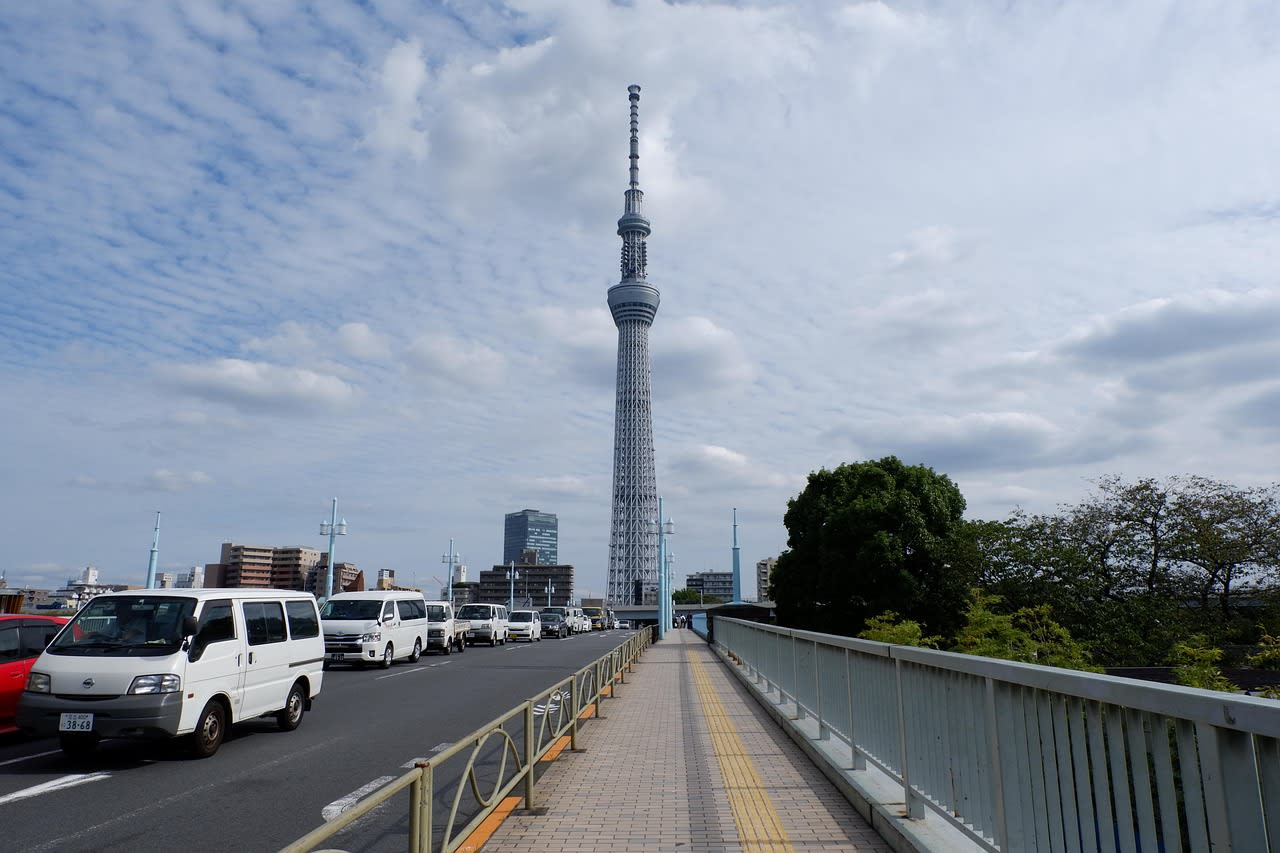 See Tokyo's waterfront side in Odaiba