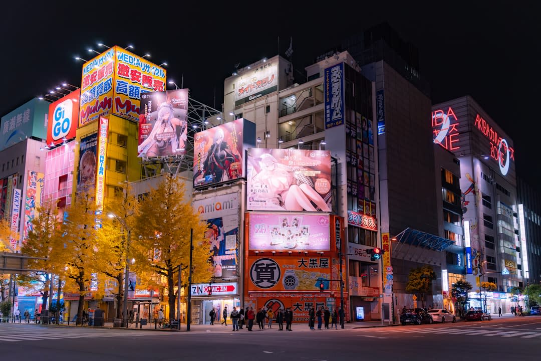 Use Akihabara for pop culture, electronics, and a lively repeat visit