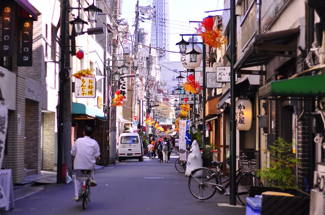 End with nightlife views and food in Shinjuku