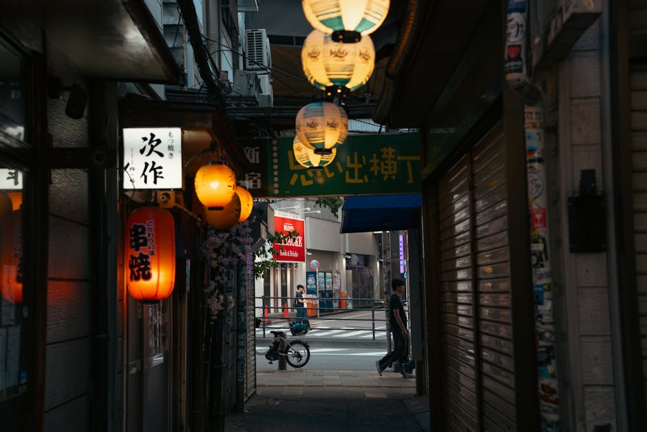 End with nightlife views and food in Shinjuku
