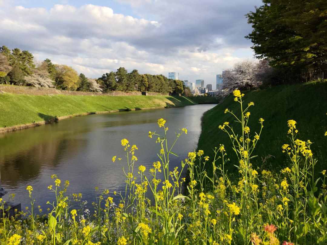 Sumida Park