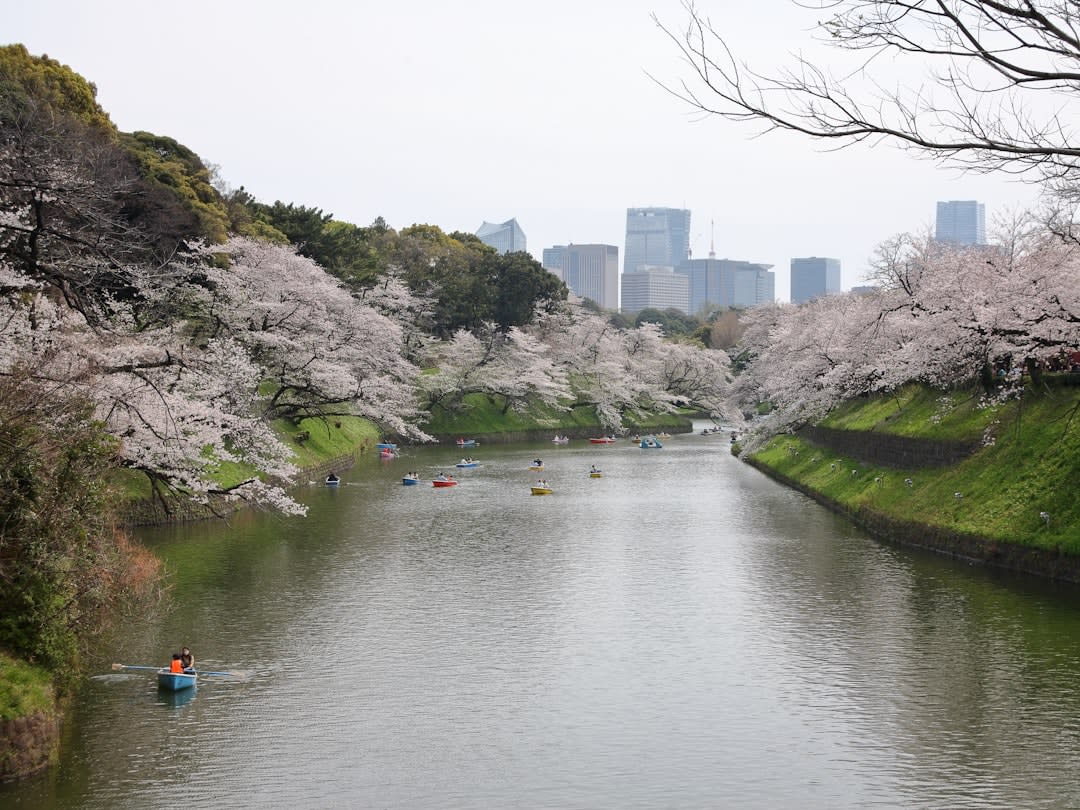 Sumida Park