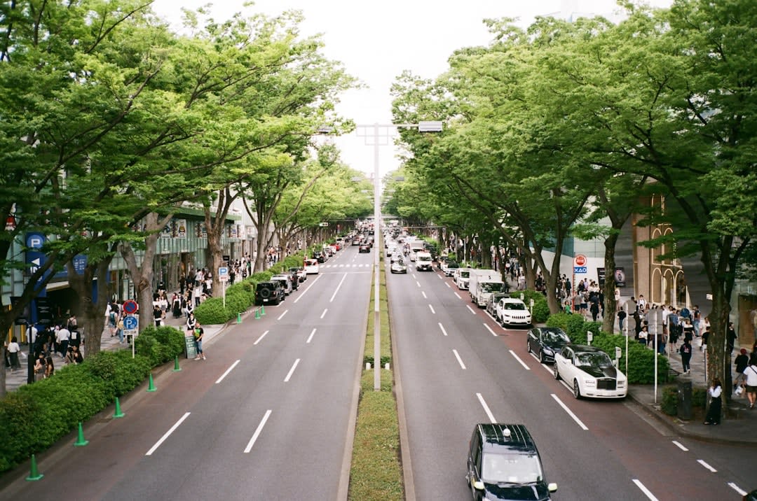 Omote-Sando Avenue