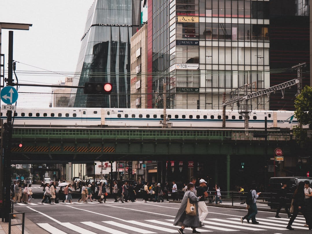 Omote-Sando Avenue
