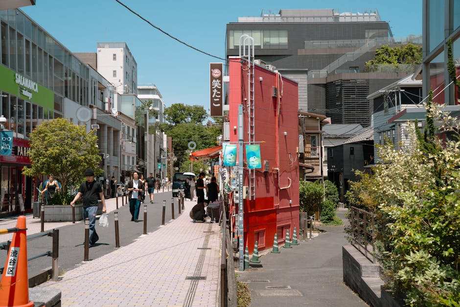 Cat Street
