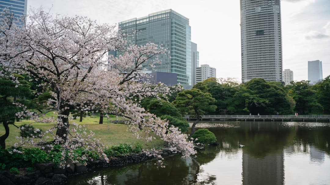 Hamarikyu Gardens