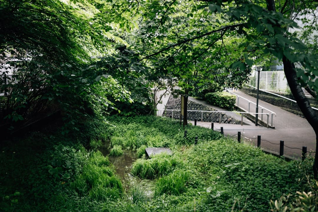 Kiyosumi Gardens