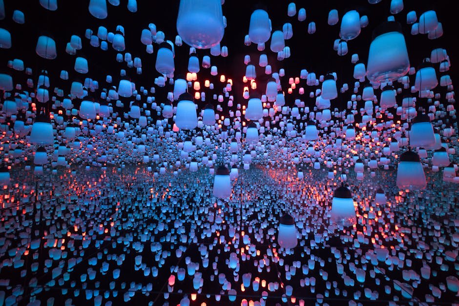 teamLab Borderless: MORI Building DIGITAL ART MUSEUM